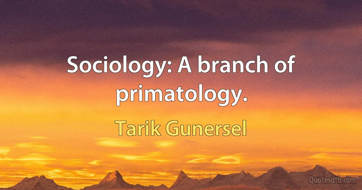 Sociology: A branch of primatology. (Tarik Gunersel)