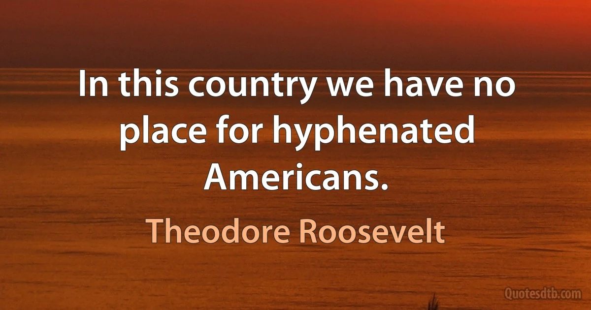 In this country we have no place for hyphenated Americans. (Theodore Roosevelt)