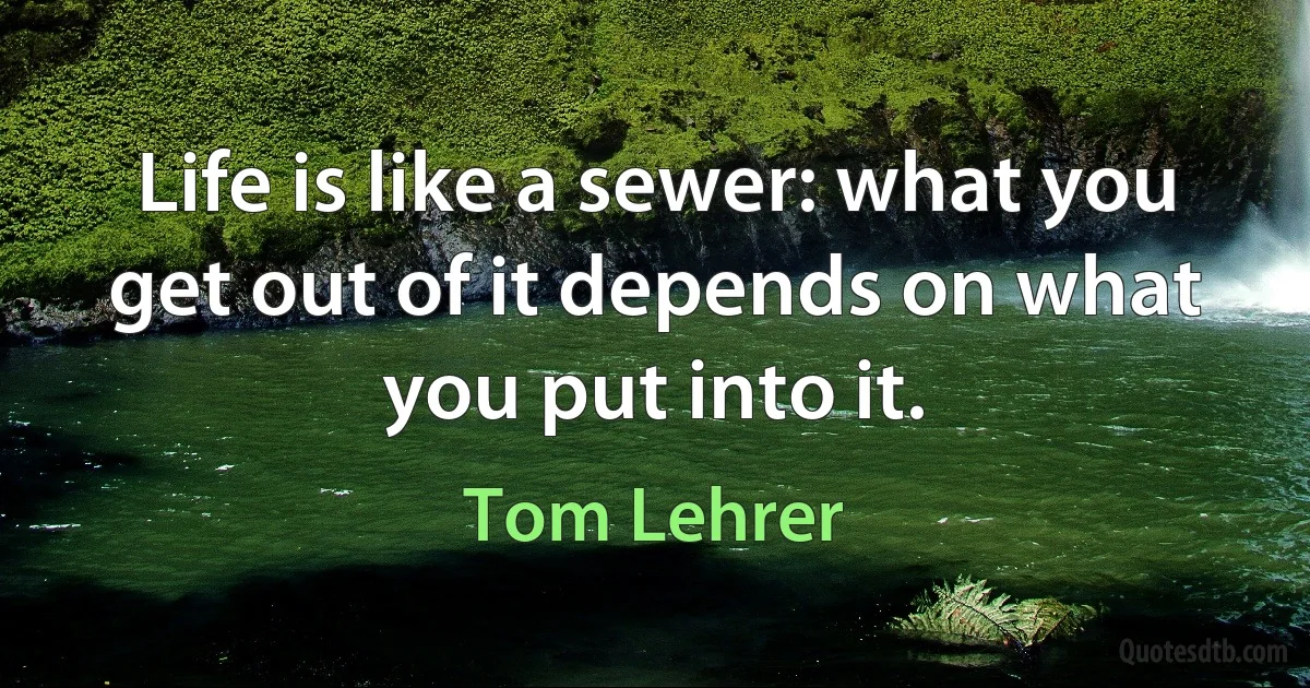 Life is like a sewer: what you get out of it depends on what you put into it. (Tom Lehrer)