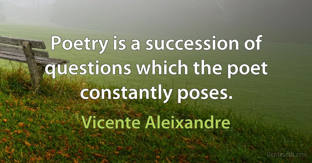 Poetry is a succession of questions which the poet constantly poses. (Vicente Aleixandre)