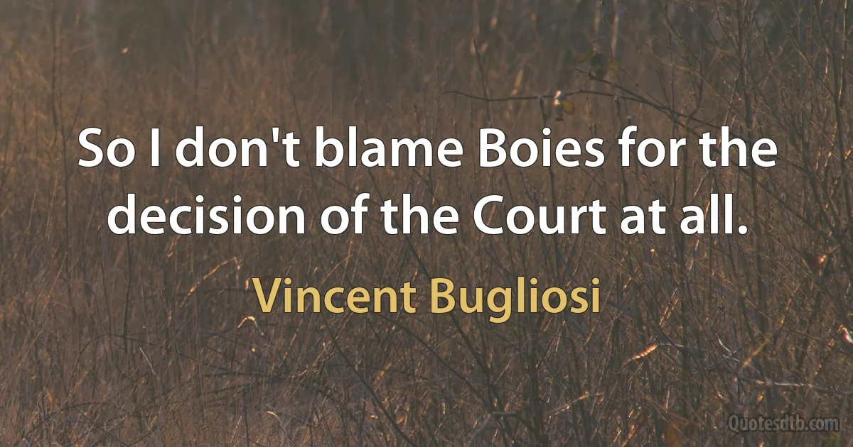 So I don't blame Boies for the decision of the Court at all. (Vincent Bugliosi)