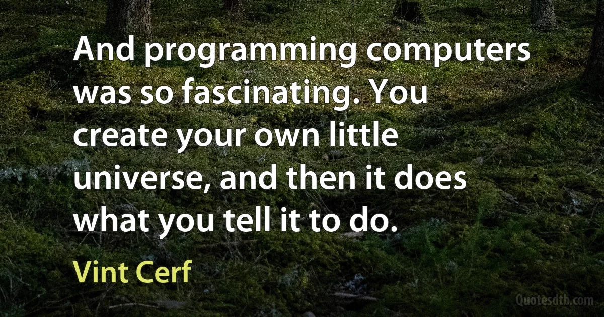 And programming computers was so fascinating. You create your own little universe, and then it does what you tell it to do. (Vint Cerf)