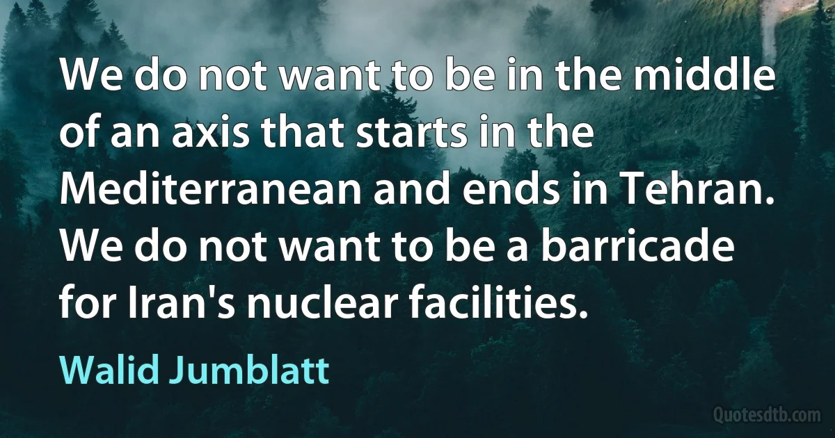 We do not want to be in the middle of an axis that starts in the Mediterranean and ends in Tehran. We do not want to be a barricade for Iran's nuclear facilities. (Walid Jumblatt)