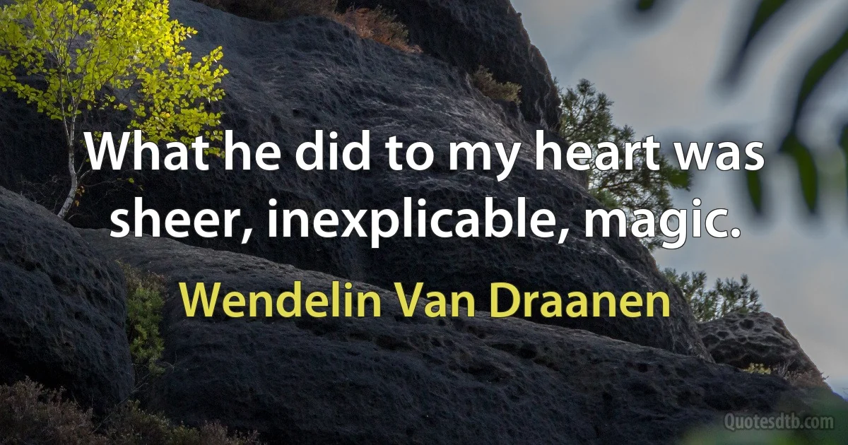 What he did to my heart was sheer, inexplicable, magic. (Wendelin Van Draanen)