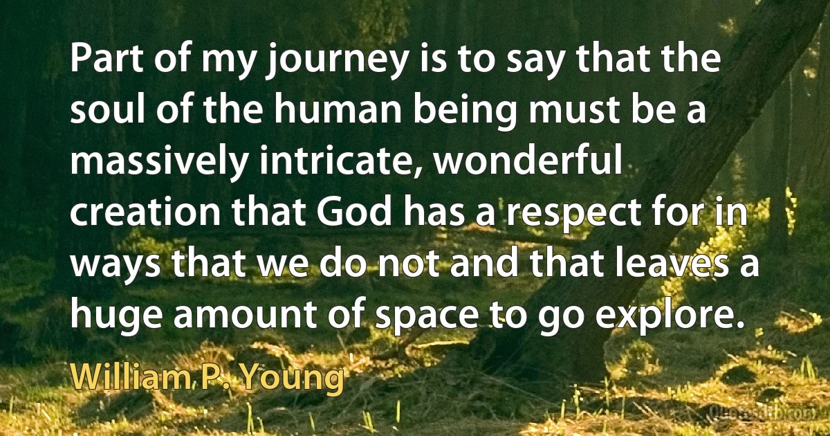 Part of my journey is to say that the soul of the human being must be a massively intricate, wonderful creation that God has a respect for in ways that we do not and that leaves a huge amount of space to go explore. (William P. Young)