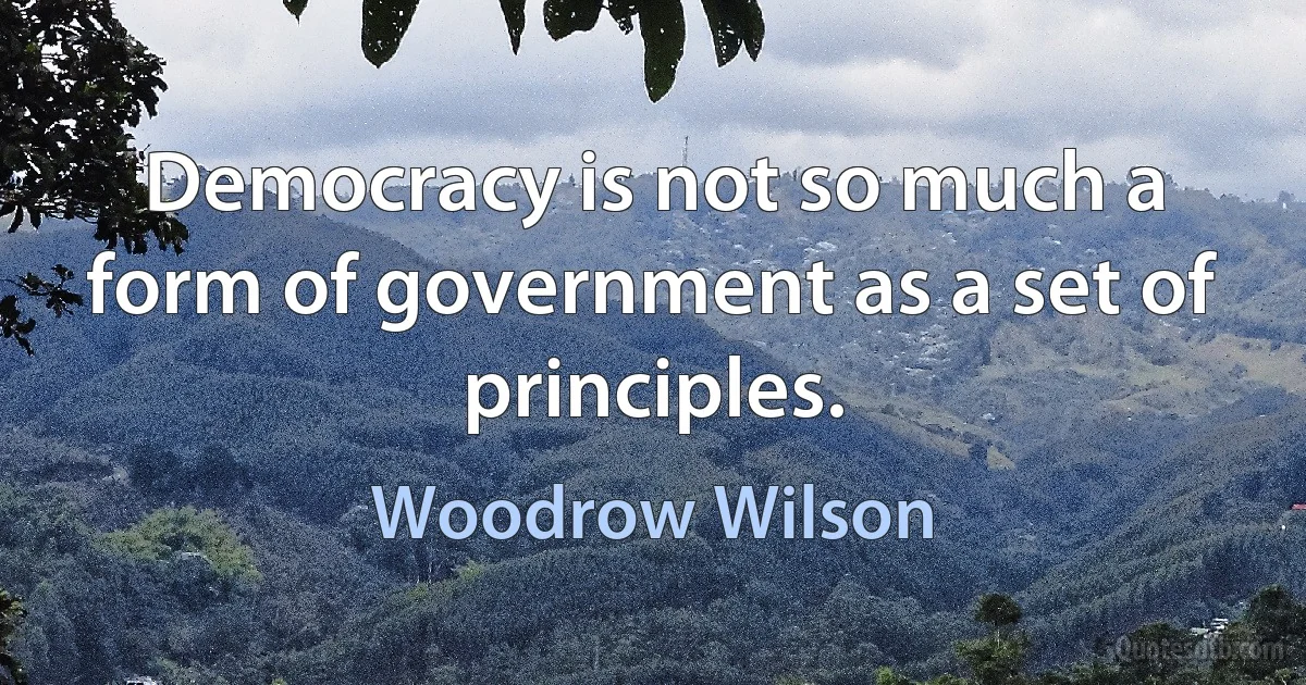 Democracy is not so much a form of government as a set of principles. (Woodrow Wilson)