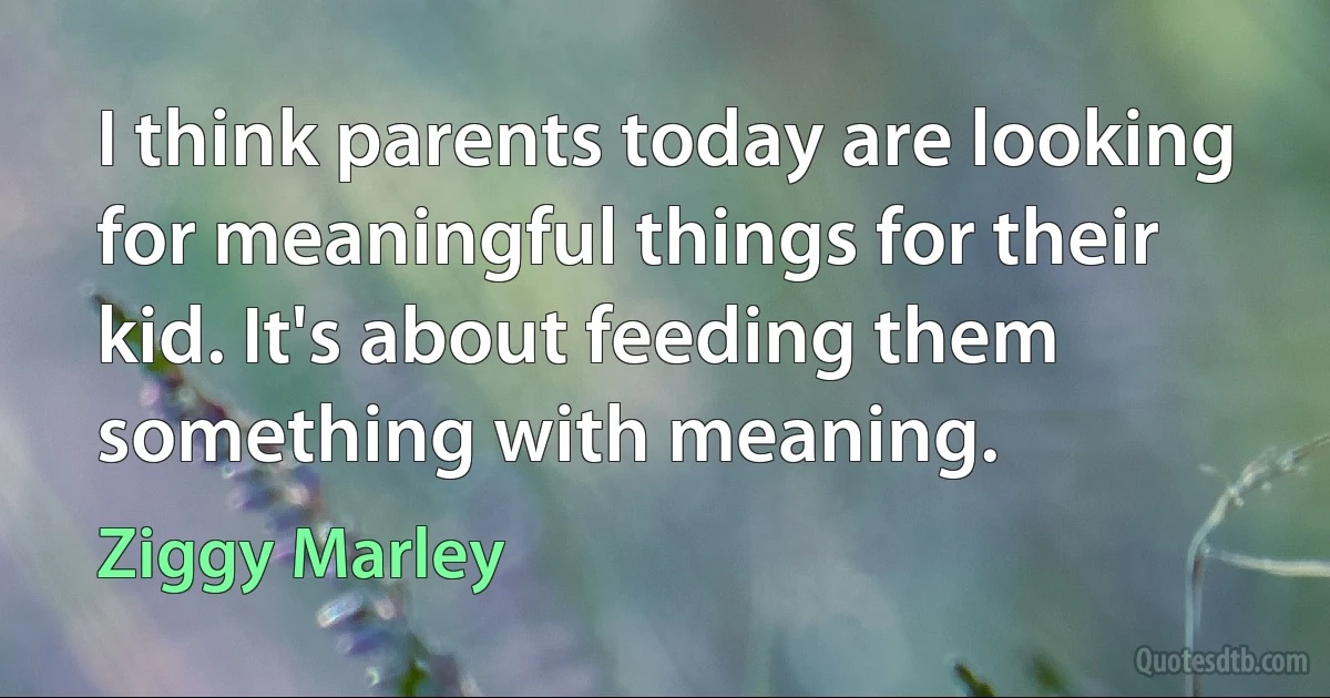 I think parents today are looking for meaningful things for their kid. It's about feeding them something with meaning. (Ziggy Marley)