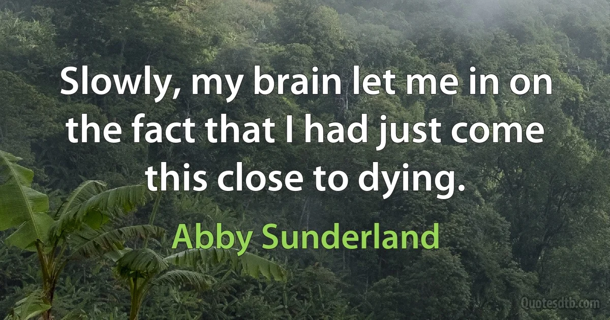 Slowly, my brain let me in on the fact that I had just come this close to dying. (Abby Sunderland)