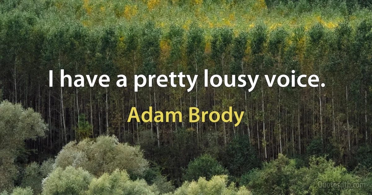 I have a pretty lousy voice. (Adam Brody)