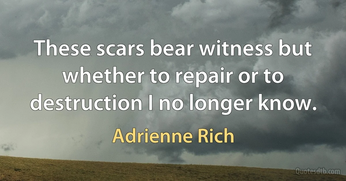 These scars bear witness but whether to repair or to destruction I no longer know. (Adrienne Rich)