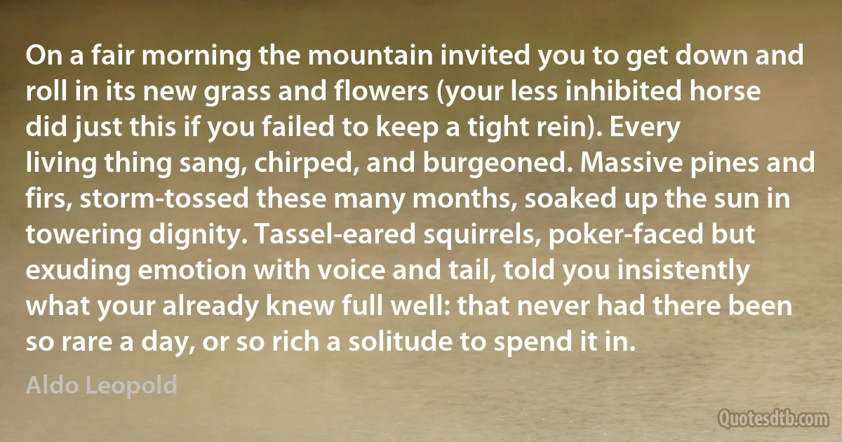 On a fair morning the mountain invited you to get down and roll in its new grass and flowers (your less inhibited horse did just this if you failed to keep a tight rein). Every living thing sang, chirped, and burgeoned. Massive pines and firs, storm-tossed these many months, soaked up the sun in towering dignity. Tassel-eared squirrels, poker-faced but exuding emotion with voice and tail, told you insistently what your already knew full well: that never had there been so rare a day, or so rich a solitude to spend it in. (Aldo Leopold)