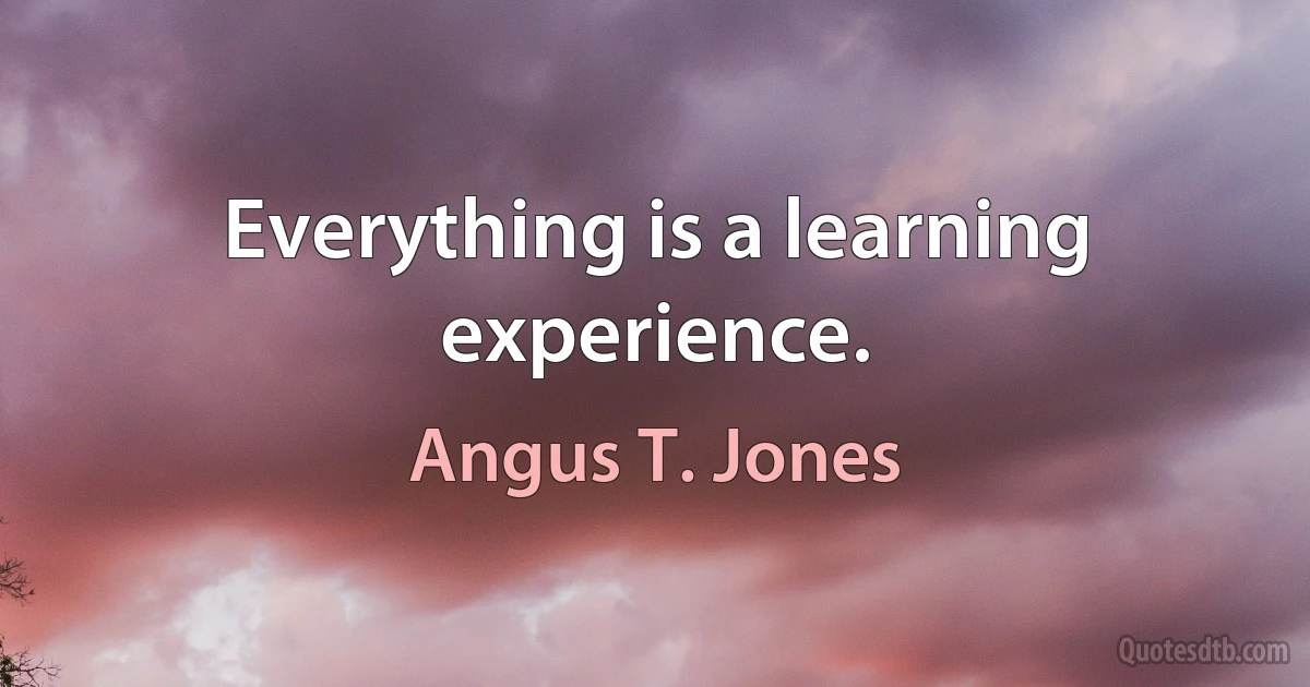 Everything is a learning experience. (Angus T. Jones)