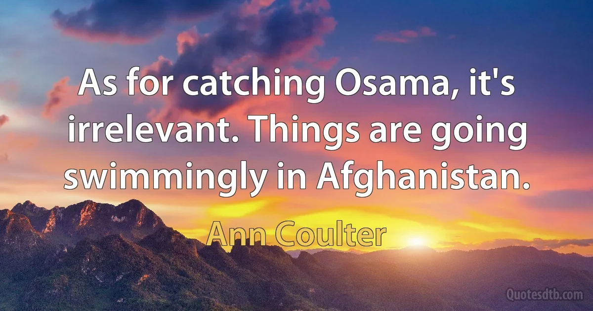 As for catching Osama, it's irrelevant. Things are going swimmingly in Afghanistan. (Ann Coulter)