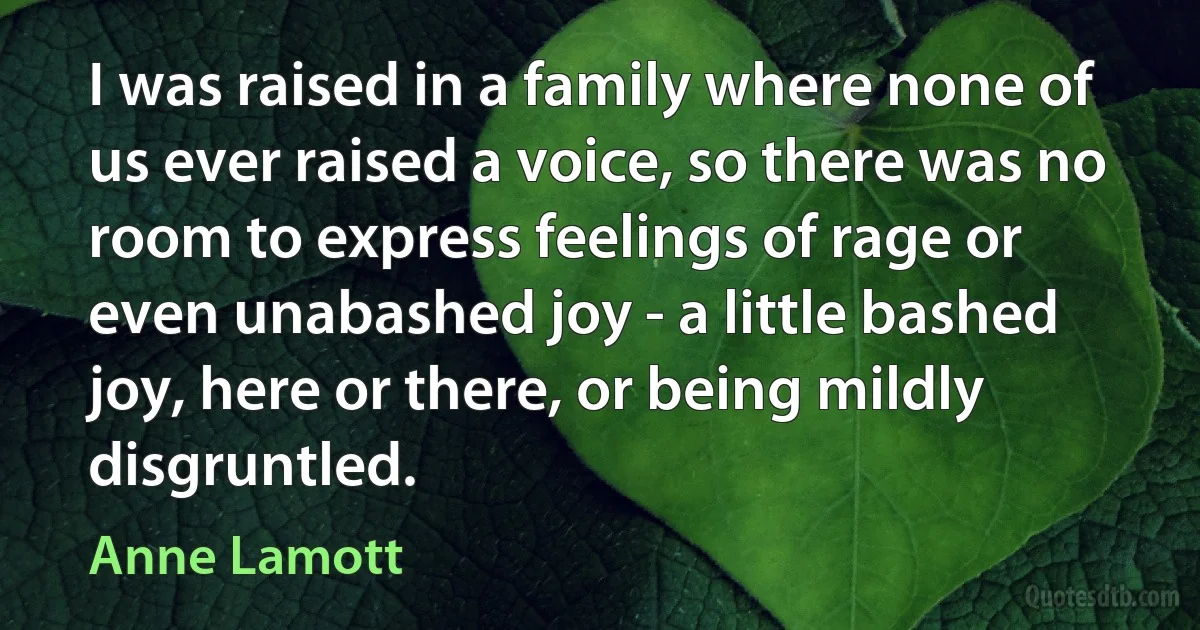 I was raised in a family where none of us ever raised a voice, so there was no room to express feelings of rage or even unabashed joy - a little bashed joy, here or there, or being mildly disgruntled. (Anne Lamott)