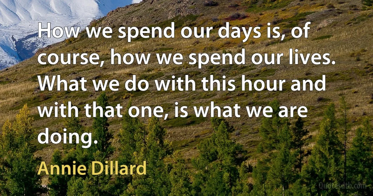 How we spend our days is, of course, how we spend our lives. What we do with this hour and with that one, is what we are doing. (Annie Dillard)