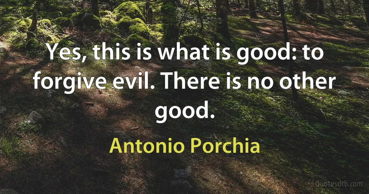 Yes, this is what is good: to forgive evil. There is no other good. (Antonio Porchia)