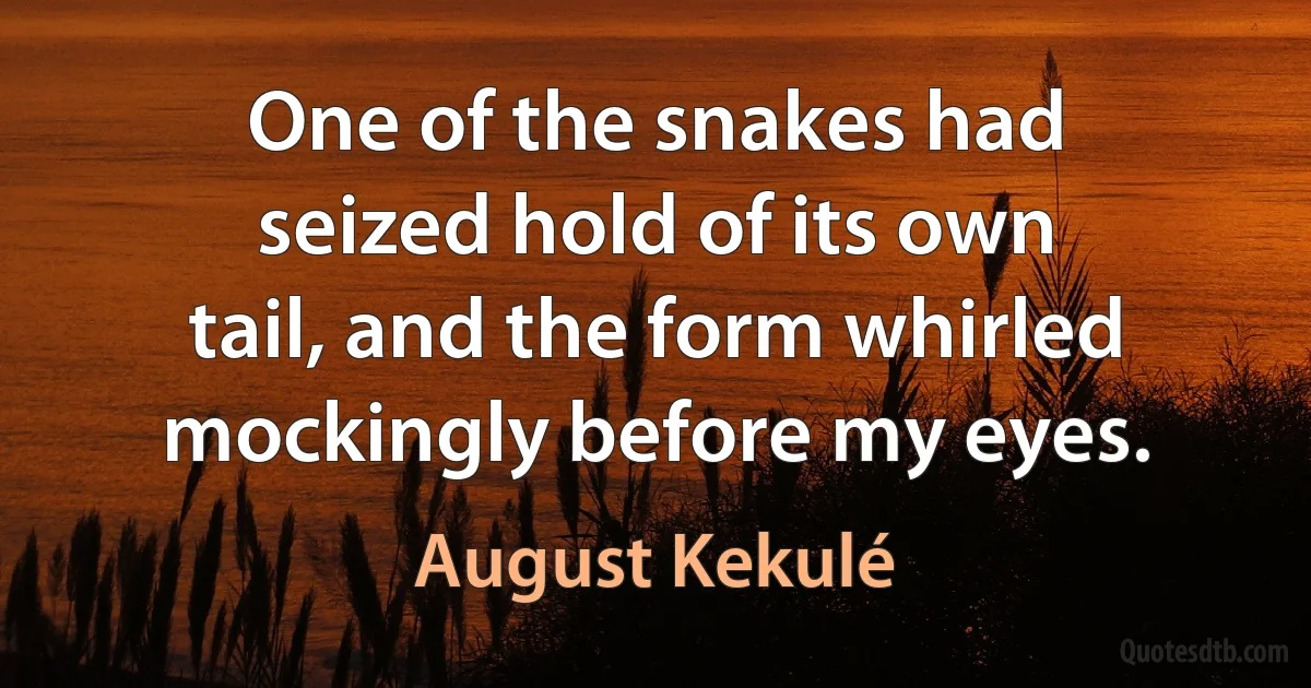 One of the snakes had seized hold of its own tail, and the form whirled mockingly before my eyes. (August Kekulé)