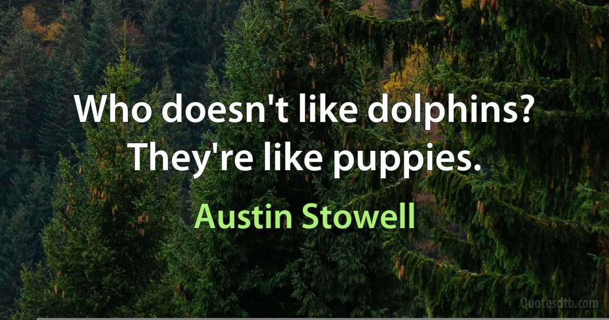 Who doesn't like dolphins? They're like puppies. (Austin Stowell)