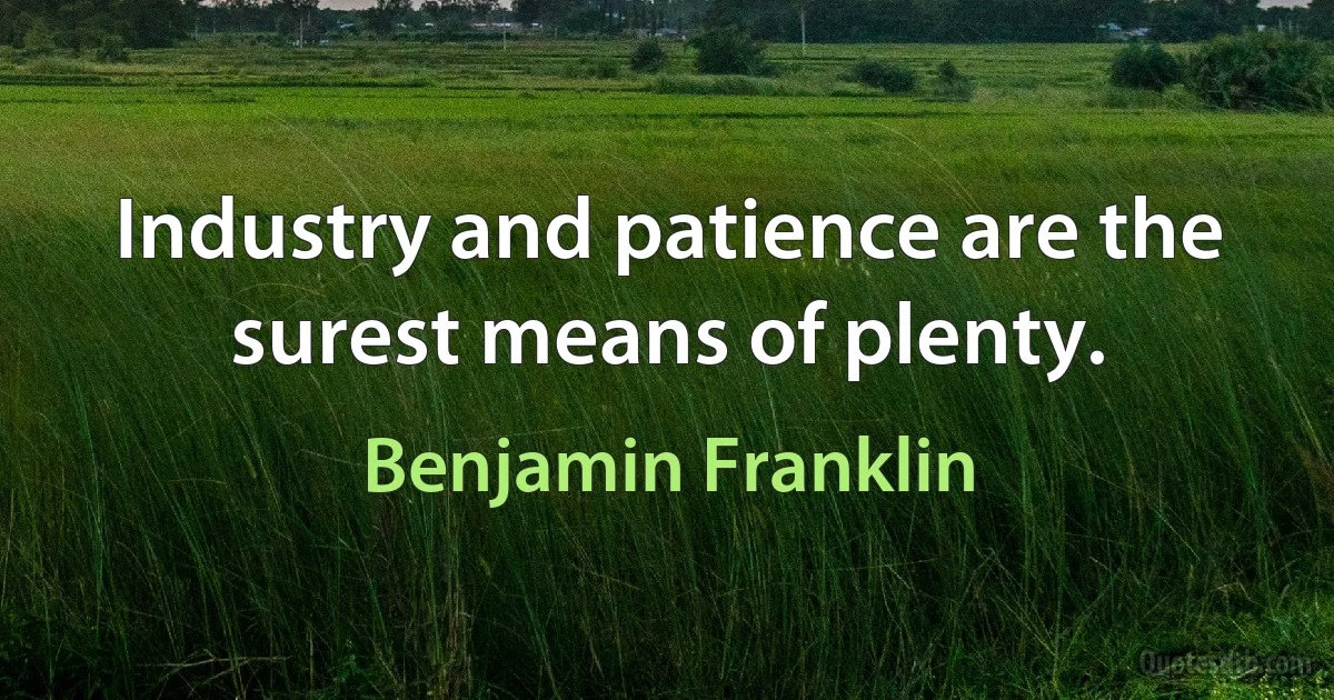 Industry and patience are the surest means of plenty. (Benjamin Franklin)