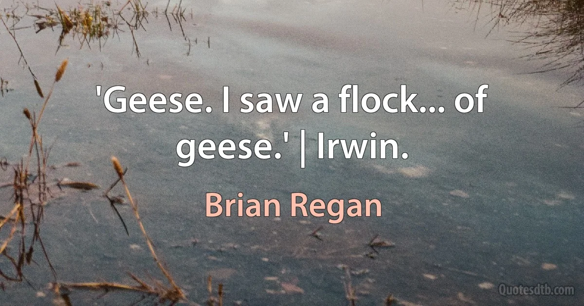 'Geese. I saw a flock... of geese.' | Irwin. (Brian Regan)