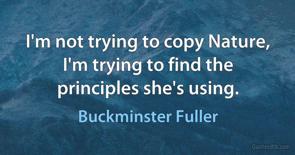 I'm not trying to copy Nature, I'm trying to find the principles she's using. (Buckminster Fuller)