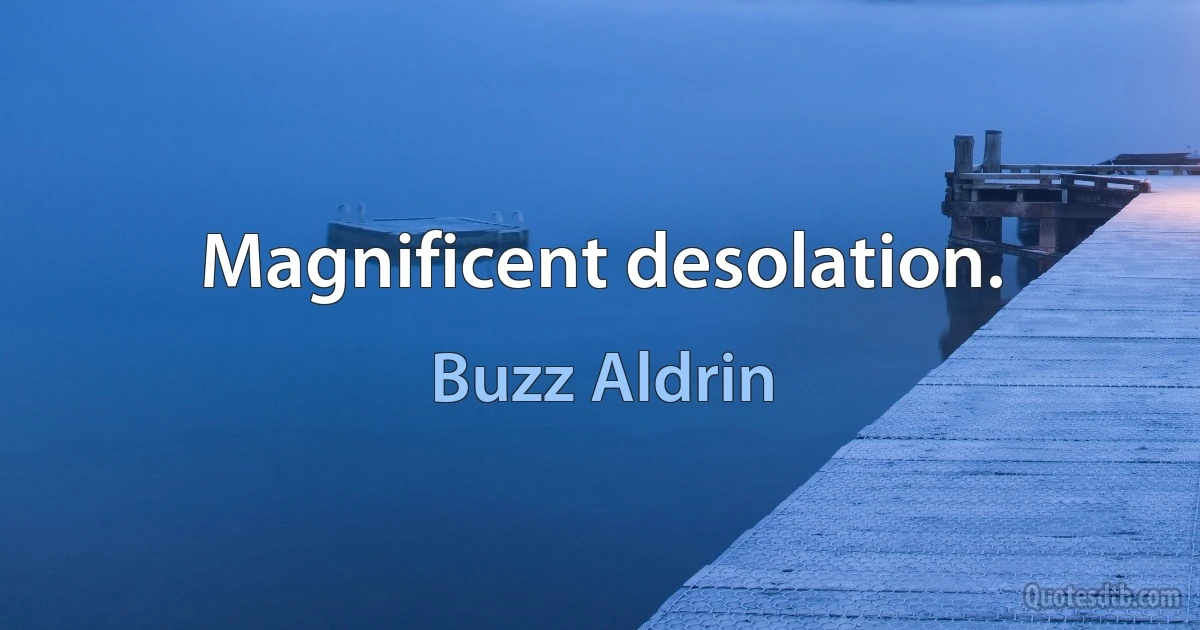 Magnificent desolation. (Buzz Aldrin)