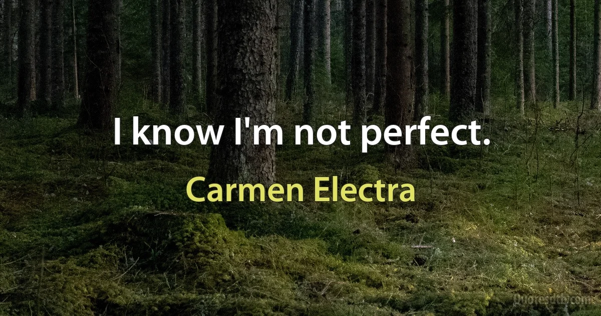 I know I'm not perfect. (Carmen Electra)