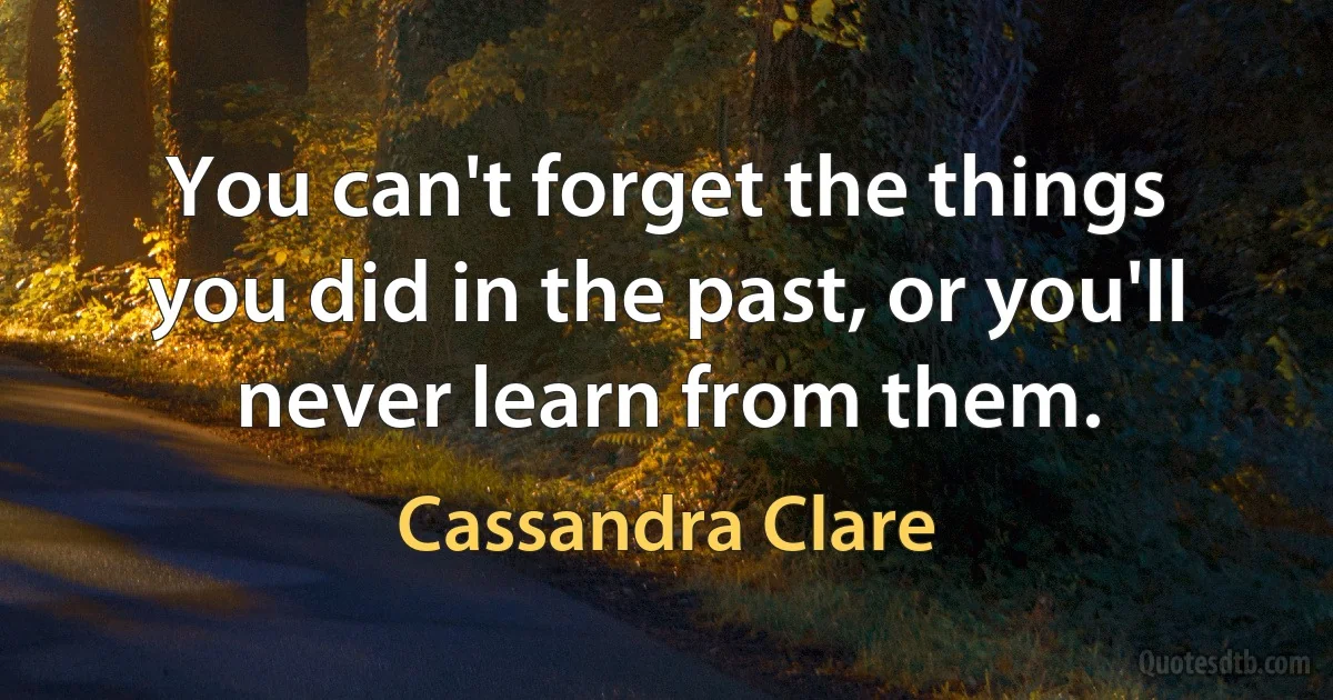 You can't forget the things you did in the past, or you'll never learn from them. (Cassandra Clare)