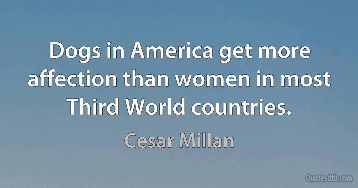 Dogs in America get more affection than women in most Third World countries. (Cesar Millan)