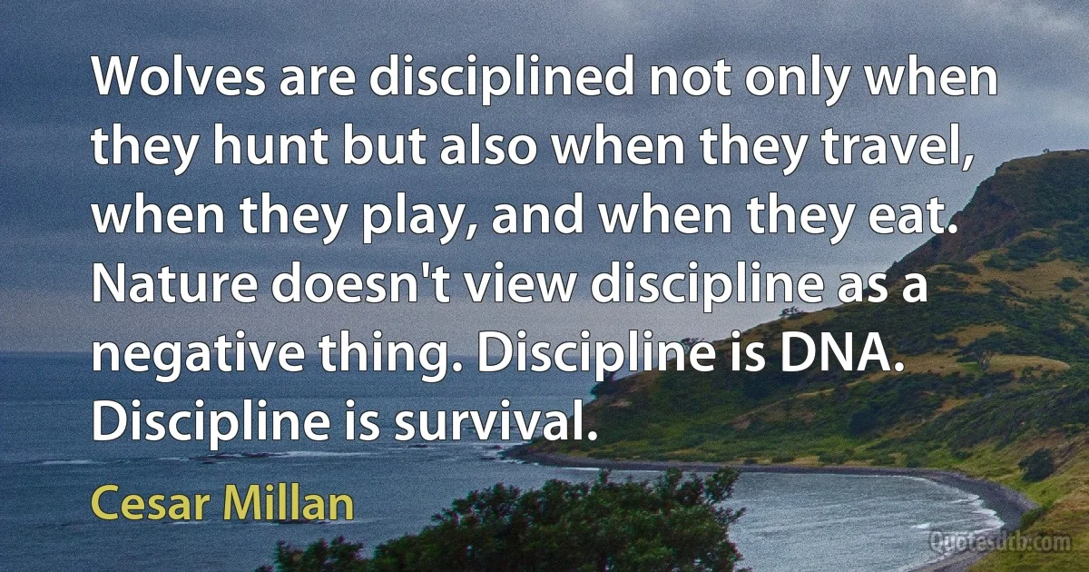 Wolves are disciplined not only when they hunt but also when they travel, when they play, and when they eat. Nature doesn't view discipline as a negative thing. Discipline is DNA. Discipline is survival. (Cesar Millan)