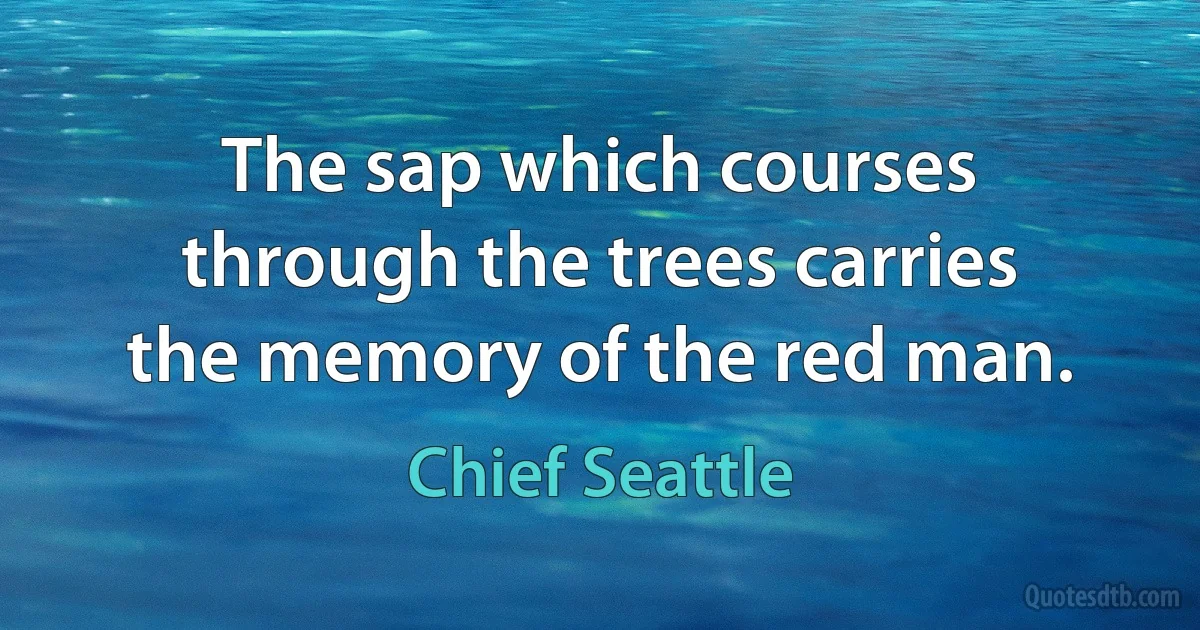 The sap which courses through the trees carries the memory of the red man. (Chief Seattle)