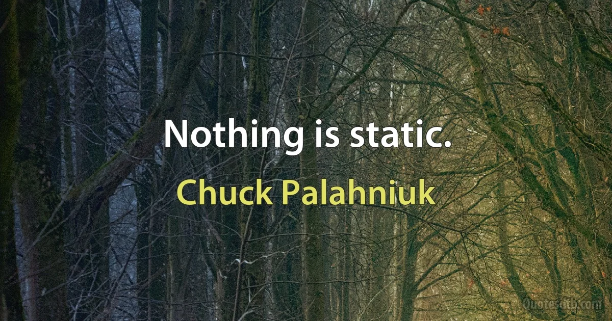 Nothing is static. (Chuck Palahniuk)