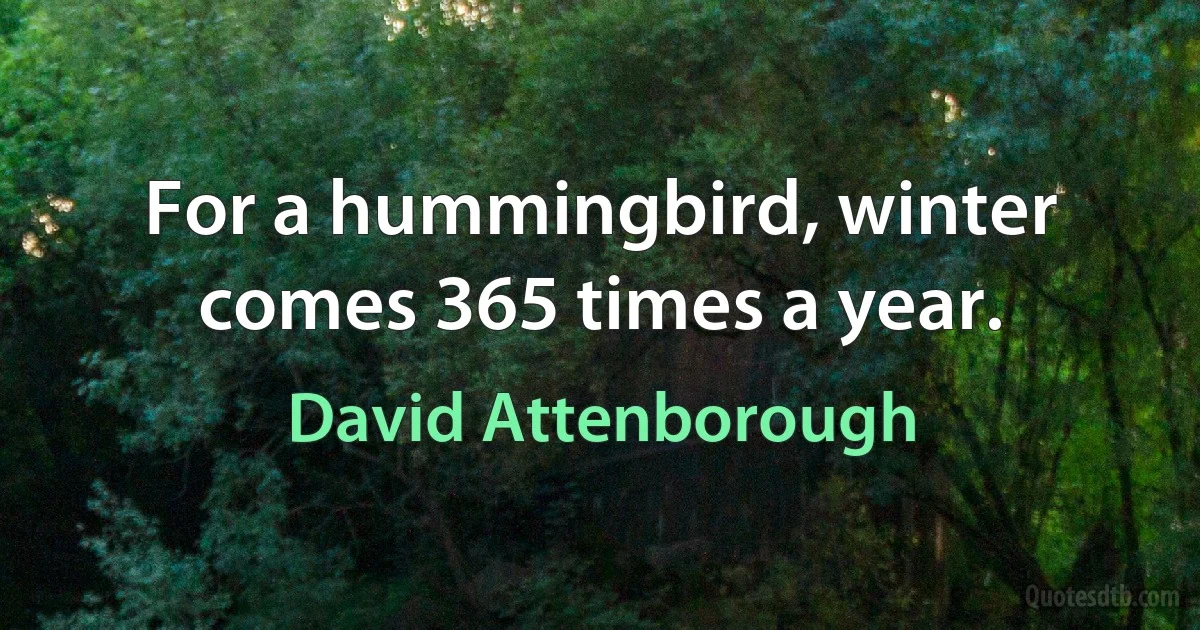 For a hummingbird, winter comes 365 times a year. (David Attenborough)