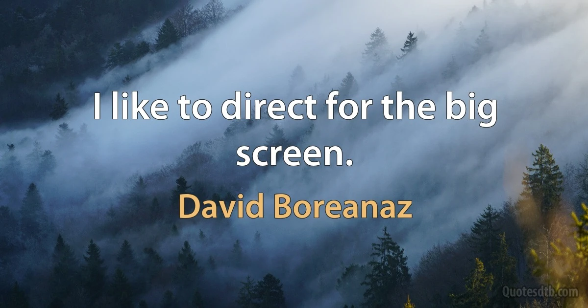 I like to direct for the big screen. (David Boreanaz)