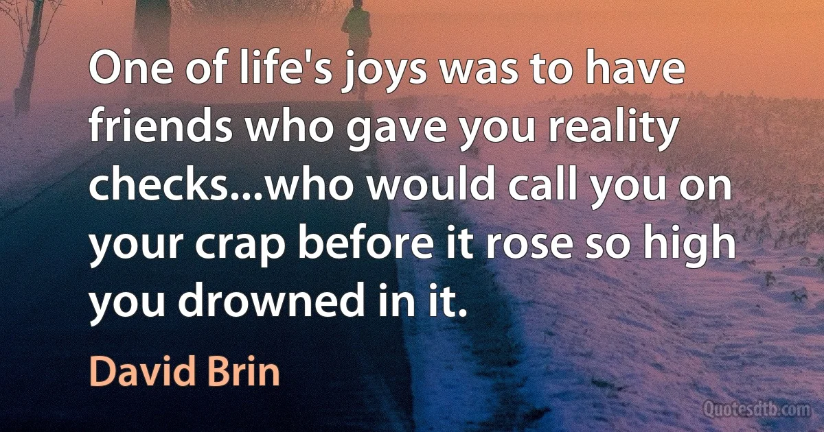 One of life's joys was to have friends who gave you reality checks...who would call you on your crap before it rose so high you drowned in it. (David Brin)