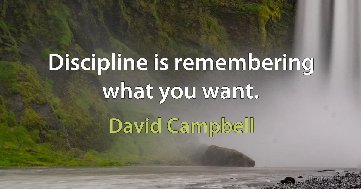 Discipline is remembering what you want. (David Campbell)