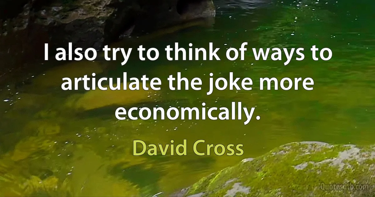 I also try to think of ways to articulate the joke more economically. (David Cross)