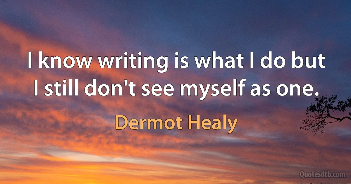 I know writing is what I do but I still don't see myself as one. (Dermot Healy)