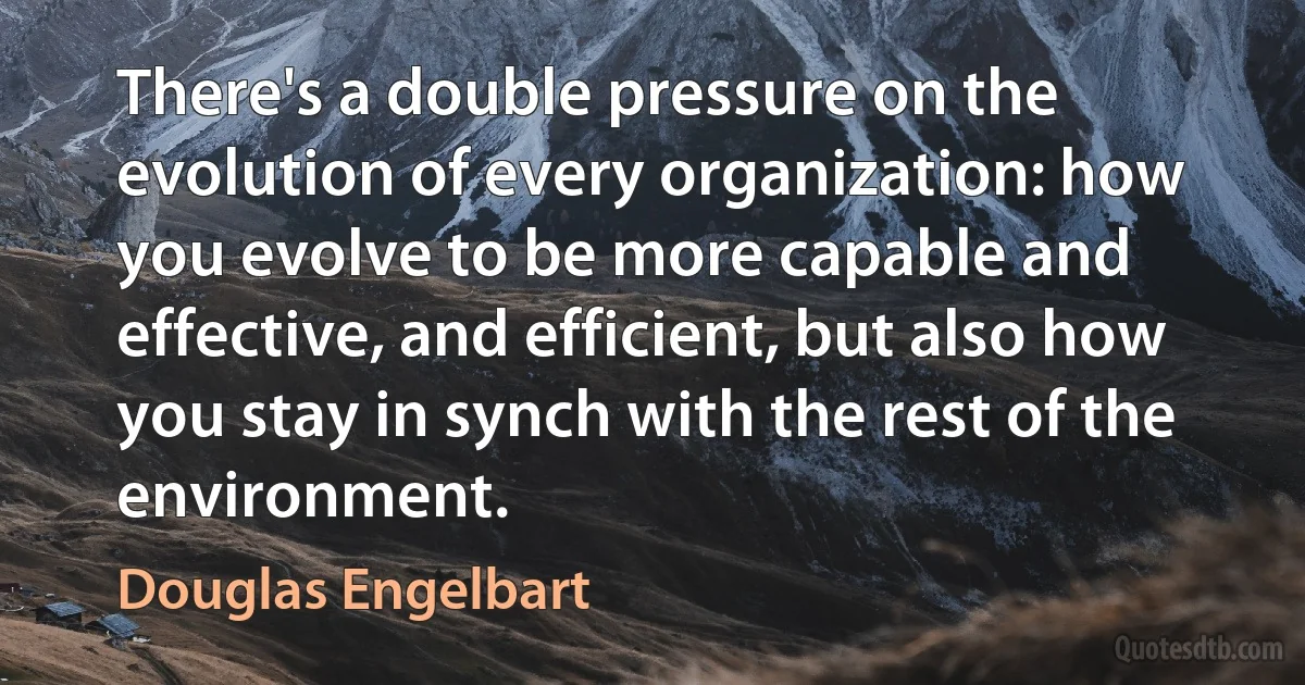 There's a double pressure on the evolution of every organization: how you evolve to be more capable and effective, and efficient, but also how you stay in synch with the rest of the environment. (Douglas Engelbart)