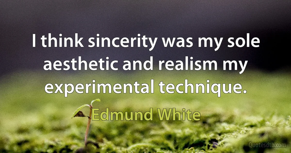 I think sincerity was my sole aesthetic and realism my experimental technique. (Edmund White)