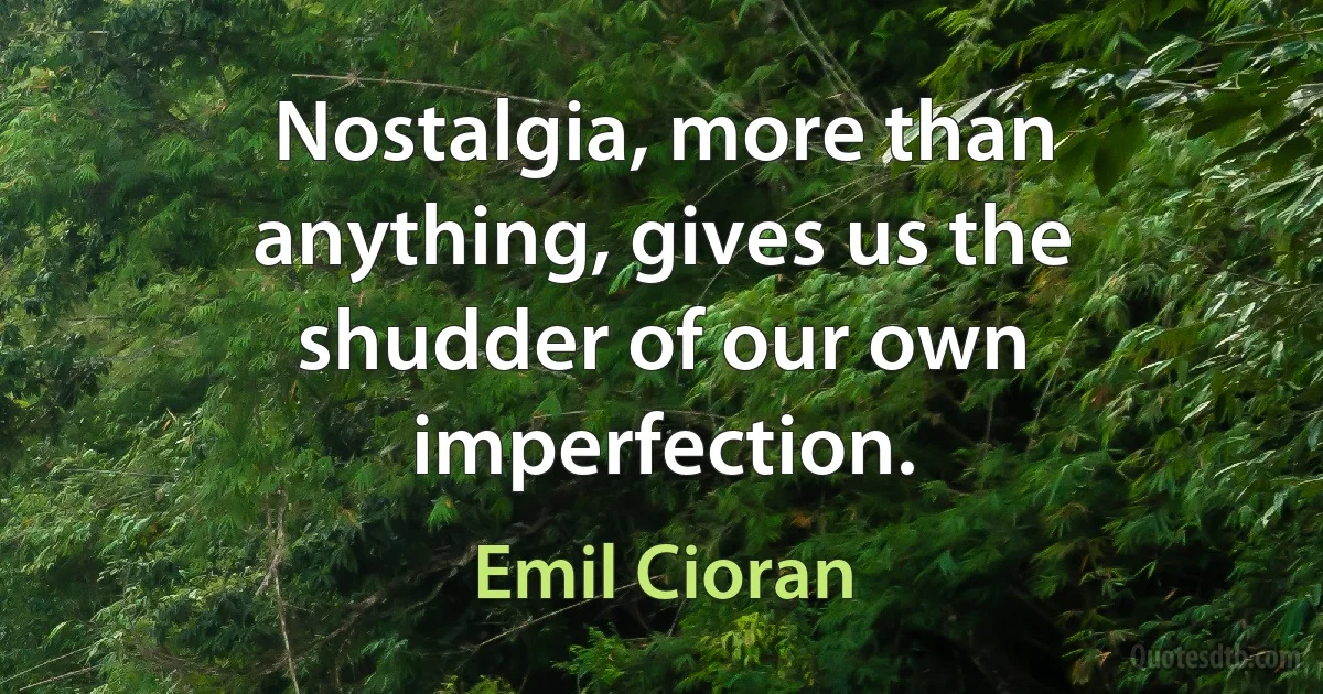 Nostalgia, more than anything, gives us the shudder of our own imperfection. (Emil Cioran)