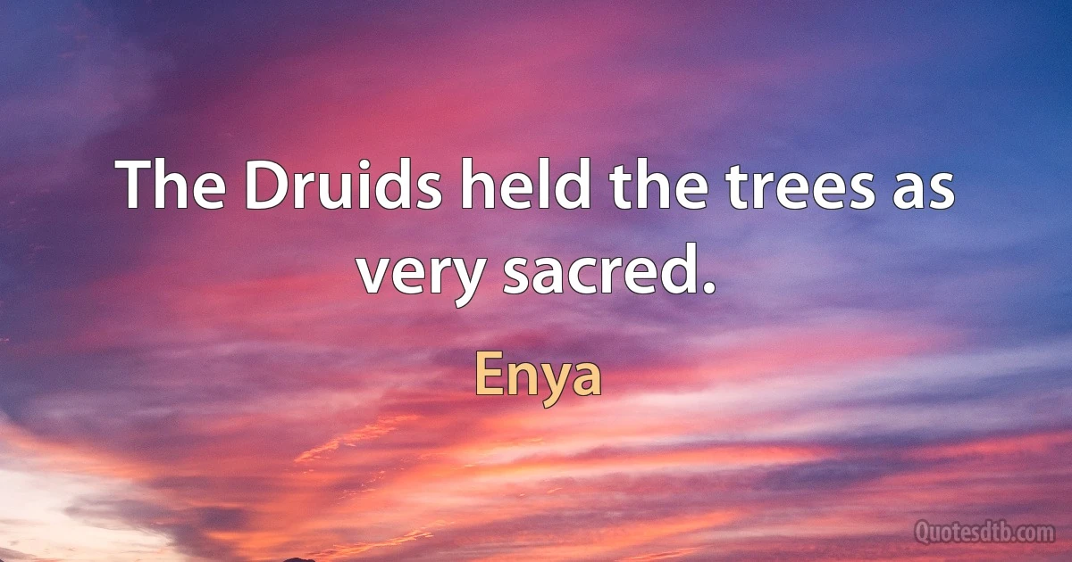 The Druids held the trees as very sacred. (Enya)