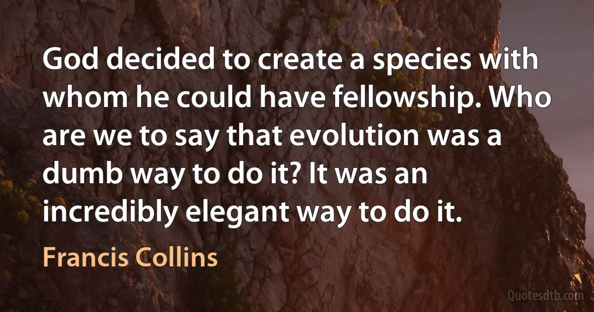 God decided to create a species with whom he could have fellowship. Who are we to say that evolution was a dumb way to do it? It was an incredibly elegant way to do it. (Francis Collins)