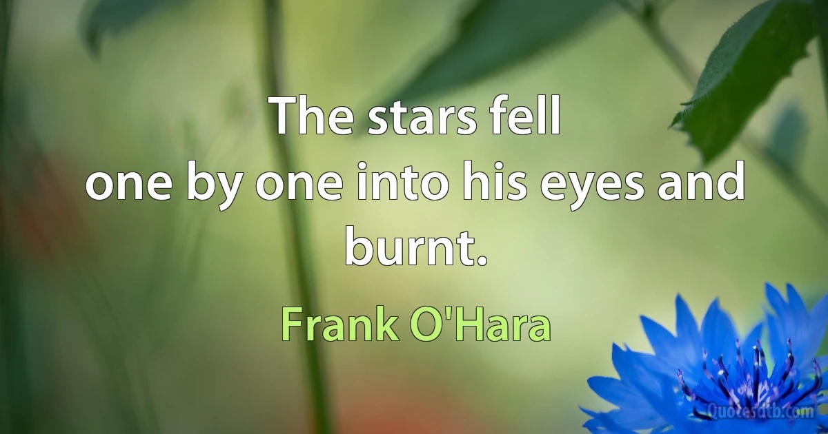 The stars fell
one by one into his eyes and burnt. (Frank O'Hara)