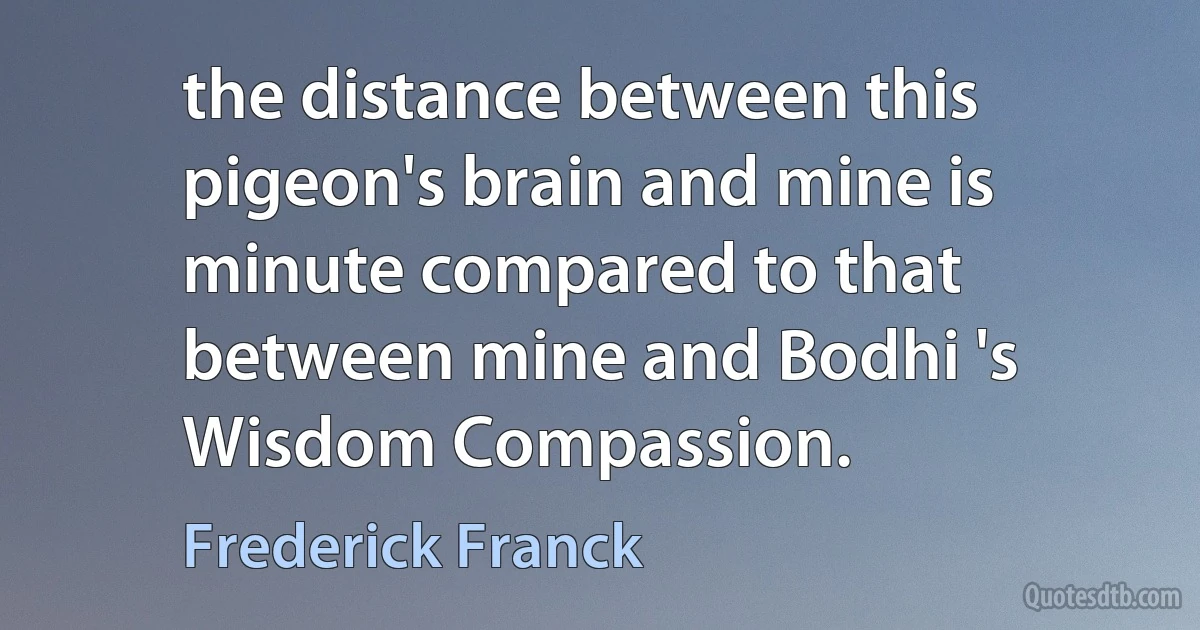 the distance between this pigeon's brain and mine is minute compared to that between mine and Bodhi 's Wisdom Compassion. (Frederick Franck)