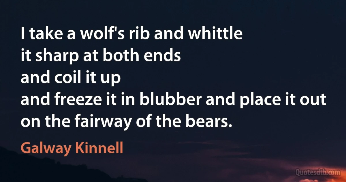 I take a wolf's rib and whittle
it sharp at both ends
and coil it up
and freeze it in blubber and place it out
on the fairway of the bears. (Galway Kinnell)