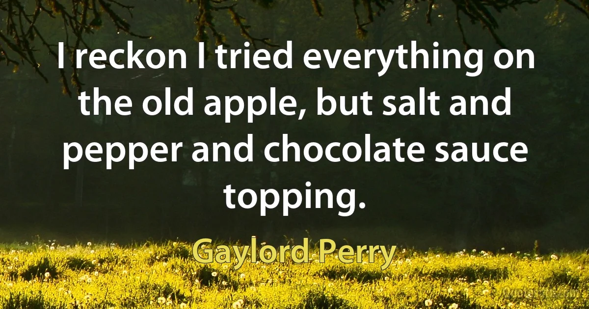 I reckon I tried everything on the old apple, but salt and pepper and chocolate sauce topping. (Gaylord Perry)