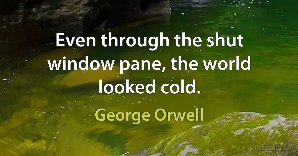 Even through the shut window pane, the world looked cold. (George Orwell)