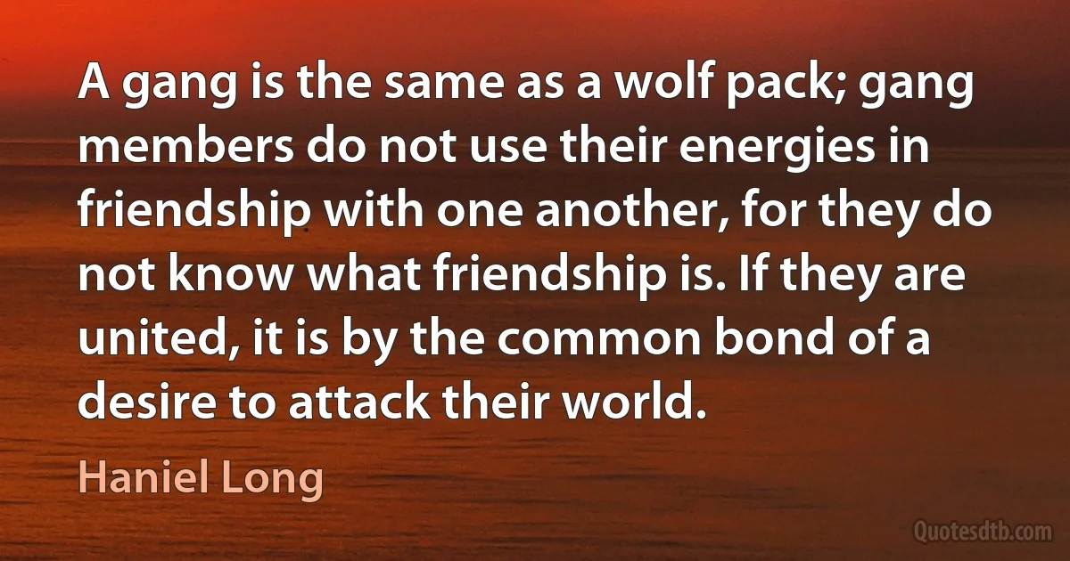 A gang is the same as a wolf pack; gang members do not use their energies in friendship with one another, for they do not know what friendship is. If they are united, it is by the common bond of a desire to attack their world. (Haniel Long)