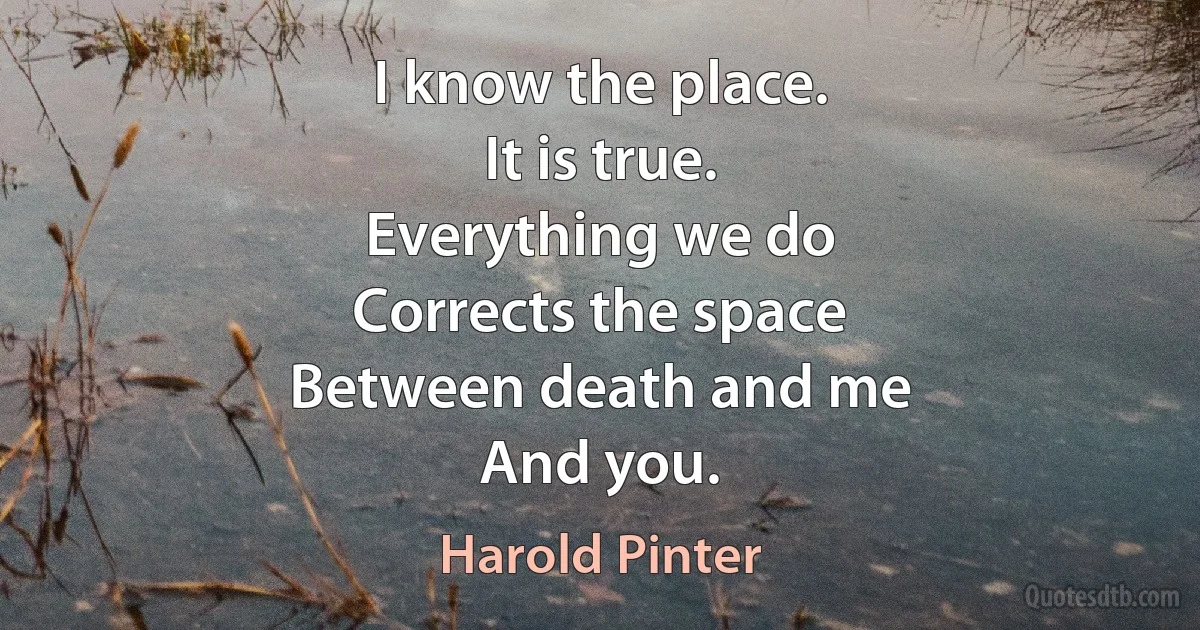 I know the place.
It is true.
Everything we do
Corrects the space
Between death and me
And you. (Harold Pinter)